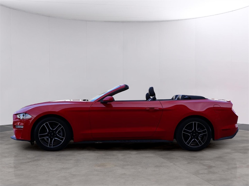 2023 Ford Mustang EcoBoost Premium photo 4