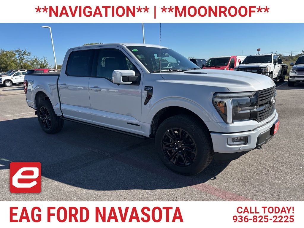 2025 Ford F-150 Platinum's photo