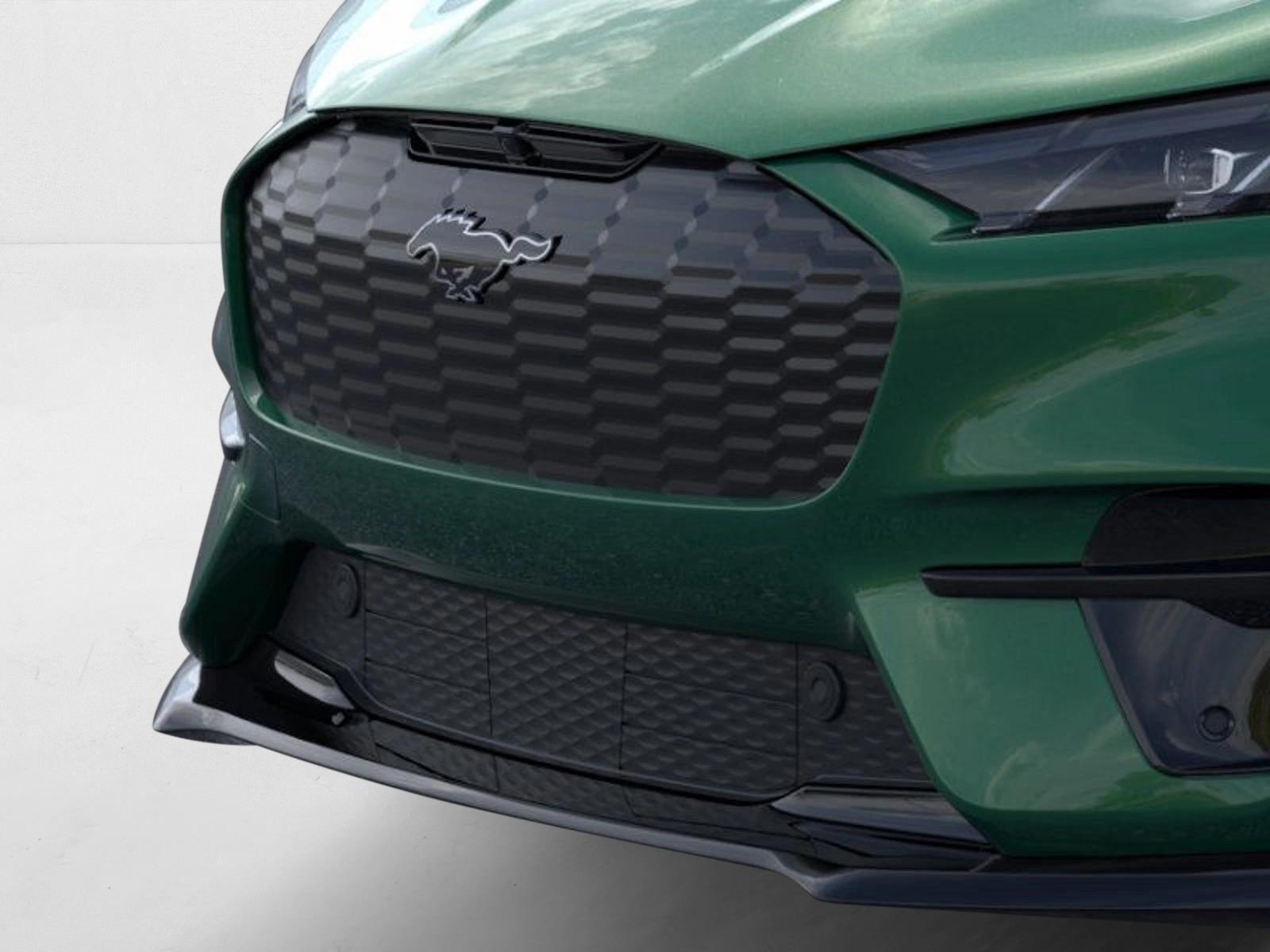 2025 Ford Mustang Mach-E GT photo 15