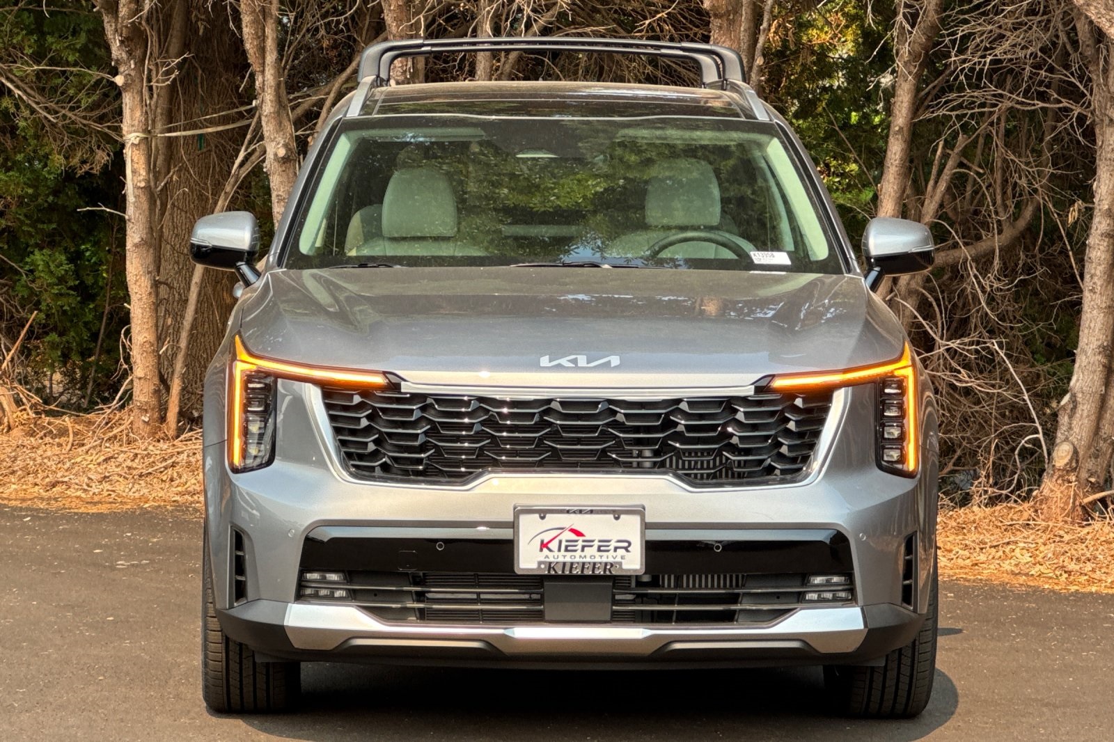 2025 Kia Sorento Hybrid EX photo 4