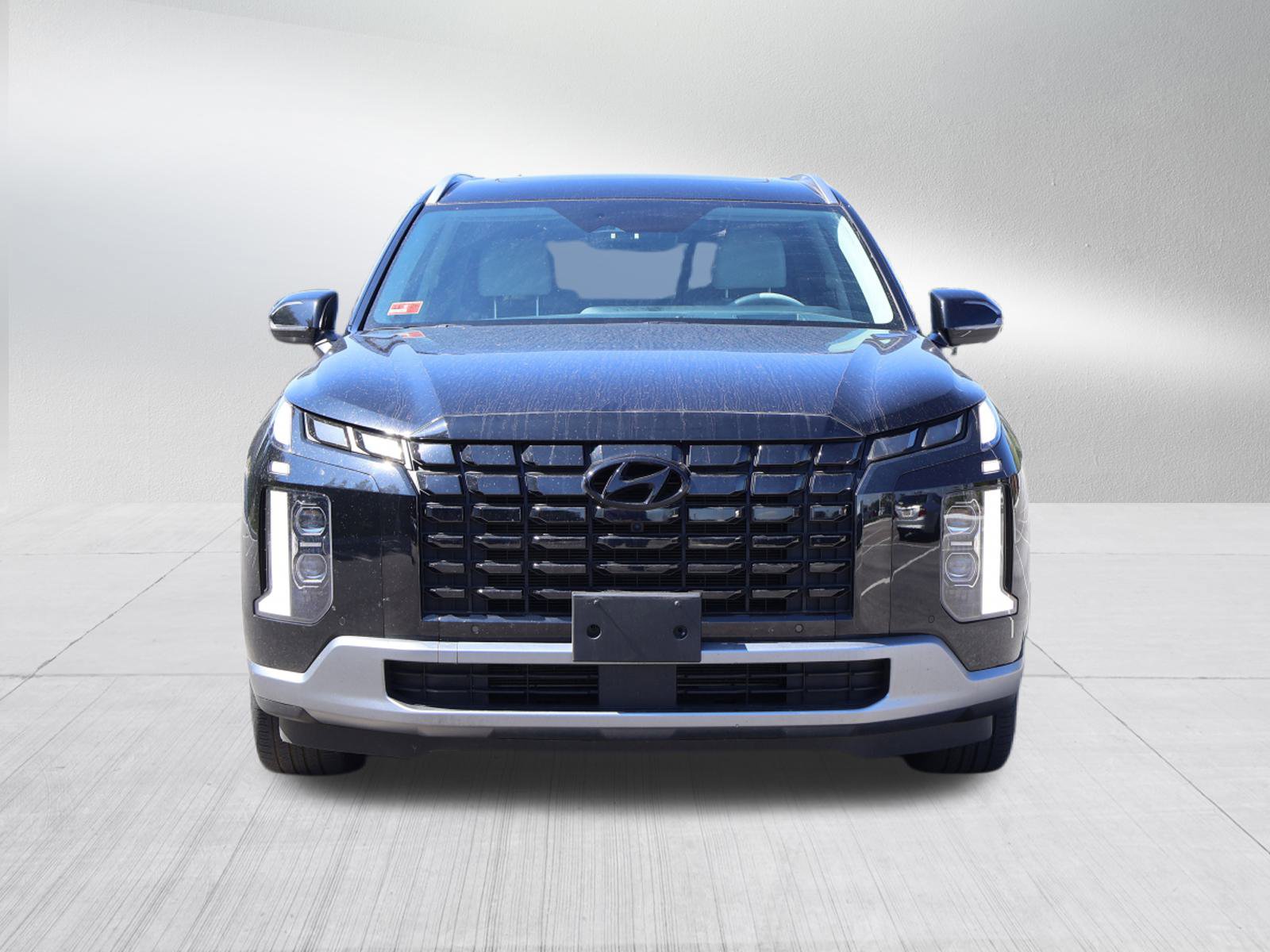 2023 Hyundai Palisade Limited photo 2