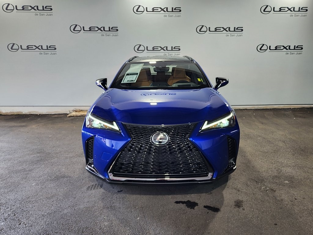 2025 Lexus UX photo 2