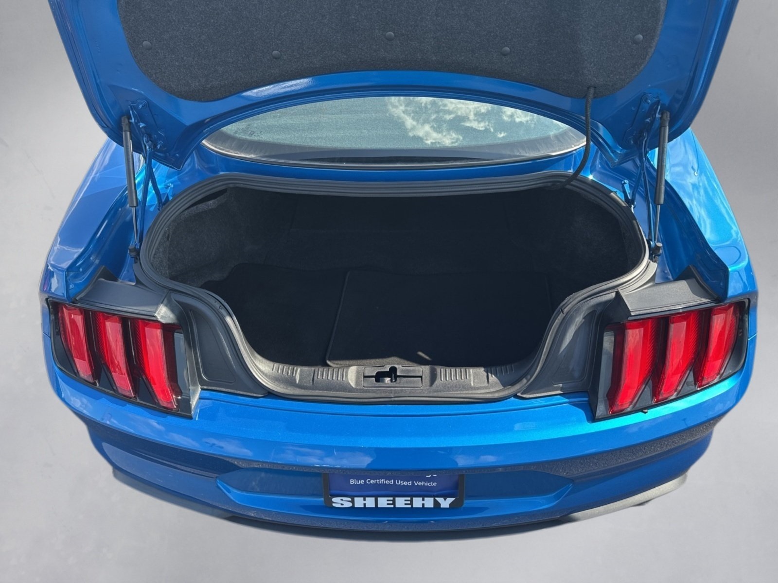 2021 Ford Mustang EcoBoost photo 20