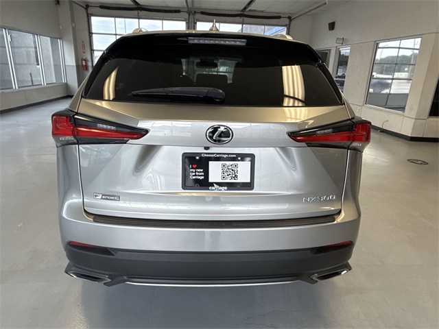 2019 Lexus NX 300 Luxury photo 4