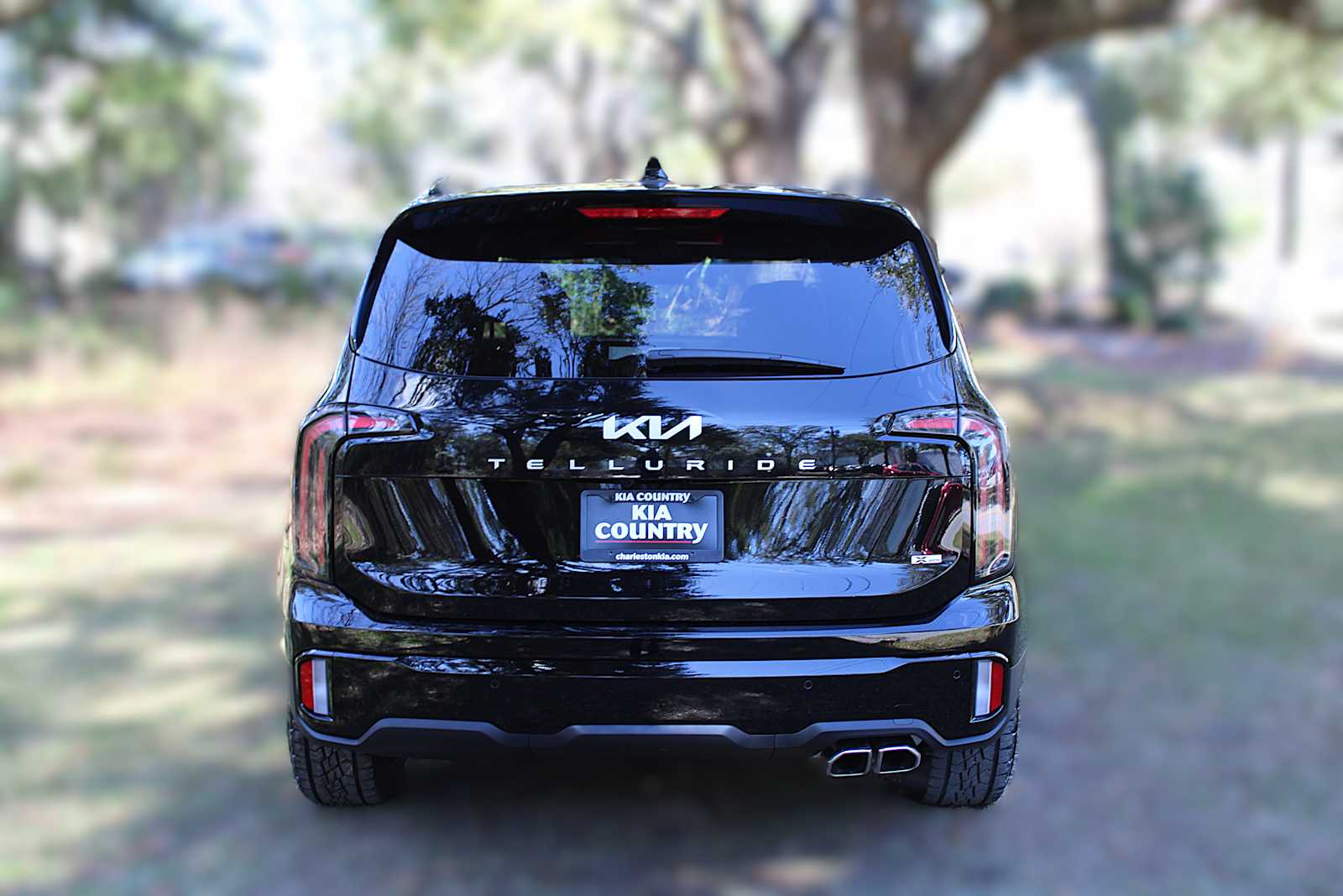 2025 Kia Telluride SX X-Line photo 4