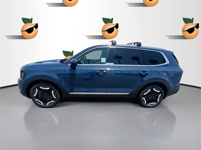 2025 Kia Telluride EX photo 4
