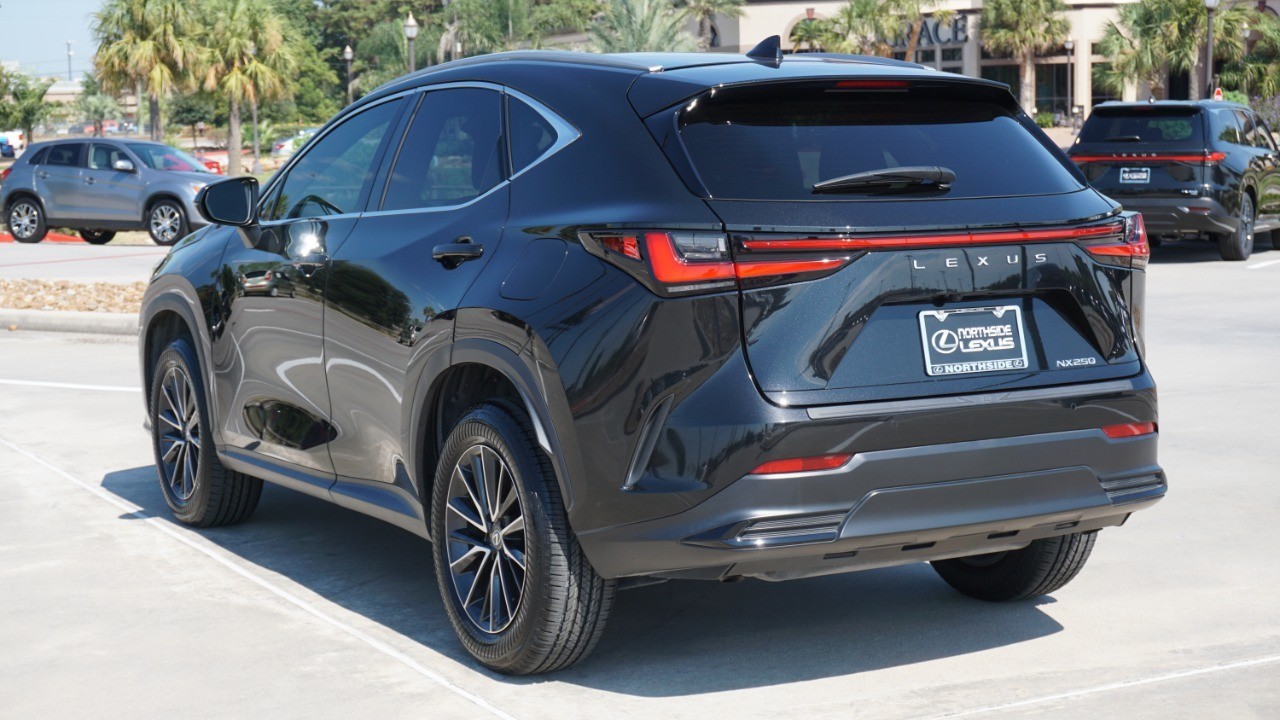 2024 Lexus NX 250 Premium photo 6