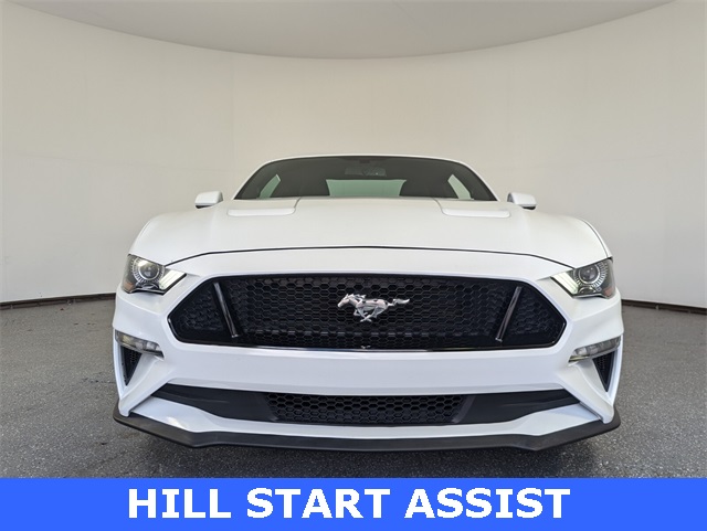 2019 Ford Mustang EcoBoost photo 3