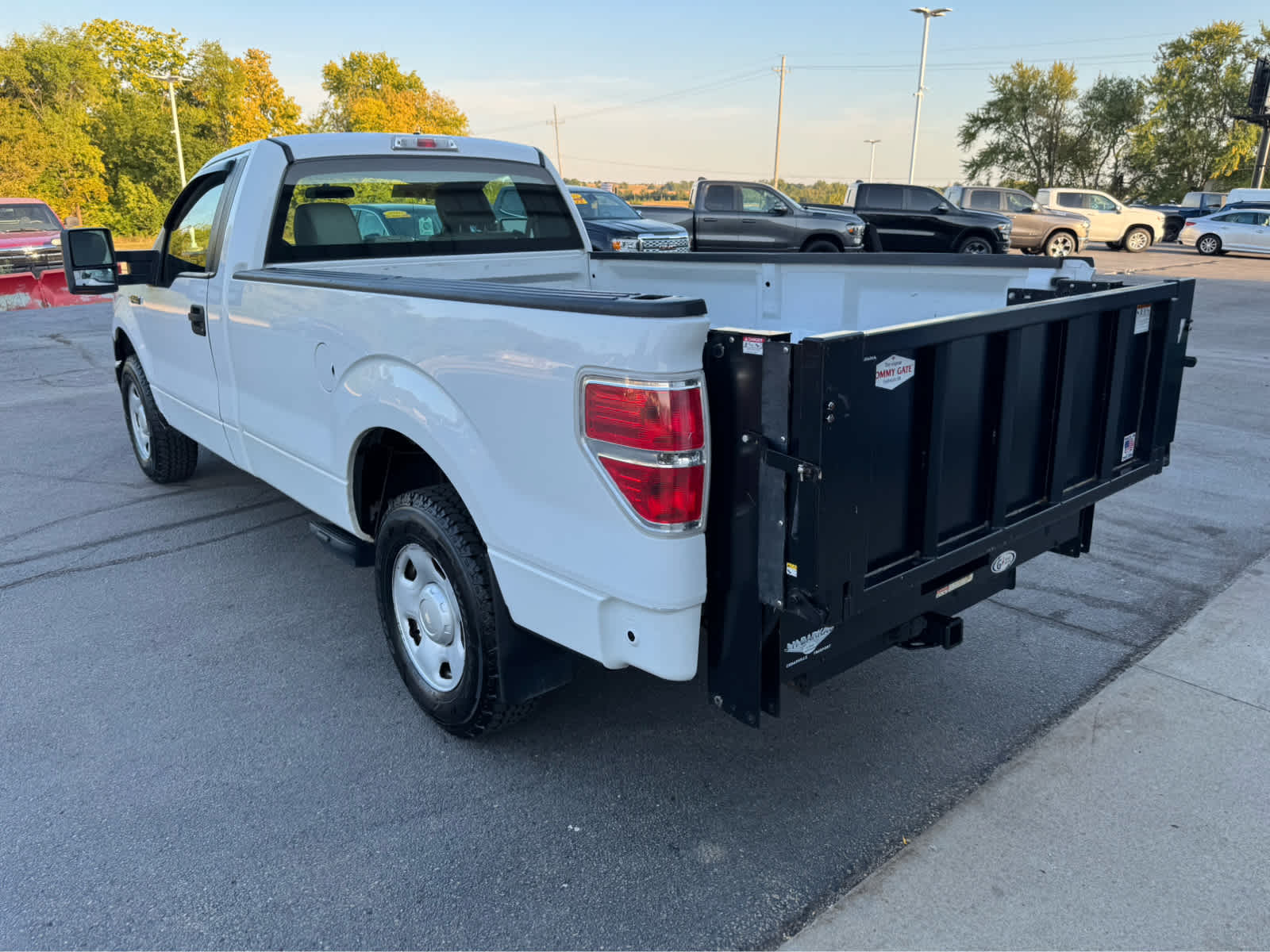 2009 Ford F-150 XLT photo 5