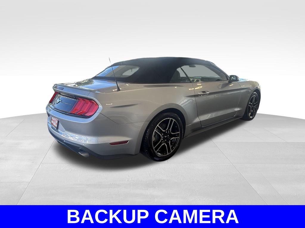 2023 Ford Mustang EcoBoost Premium photo 4
