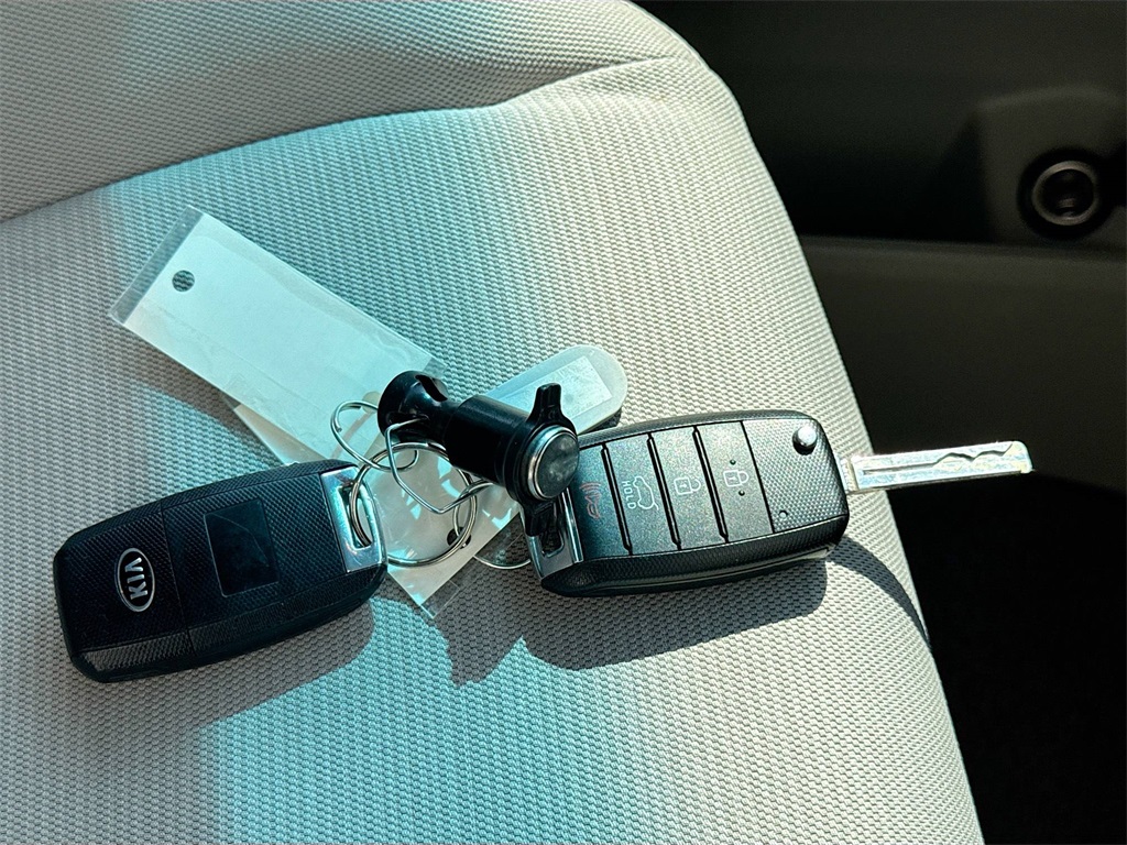 2015 Kia Sedona LX photo 32