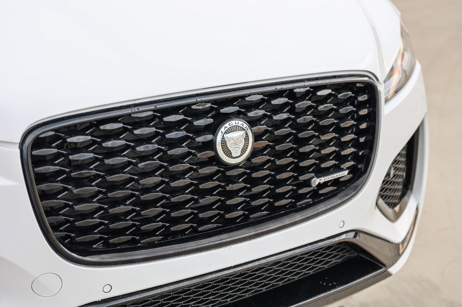 2024 Jaguar F-PACE P250 R-Dynamic S photo 9