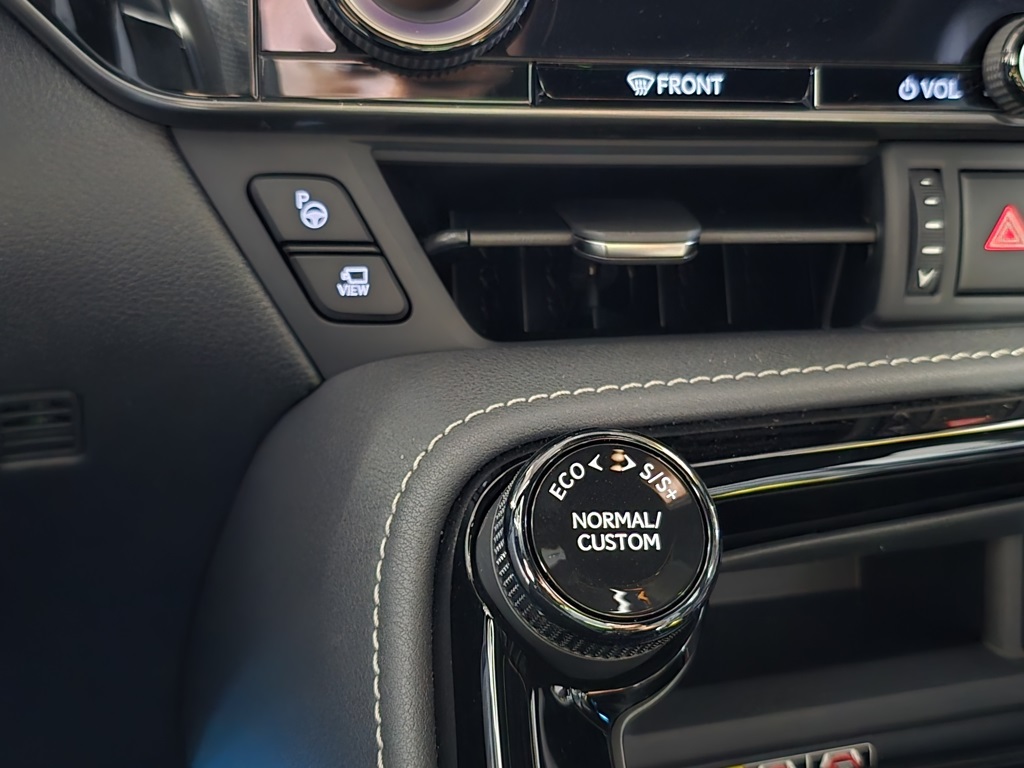 2025 Lexus NX 450h+ F SPORT photo 19