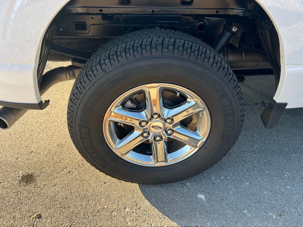 2024 Ford F-150 XLT photo 8