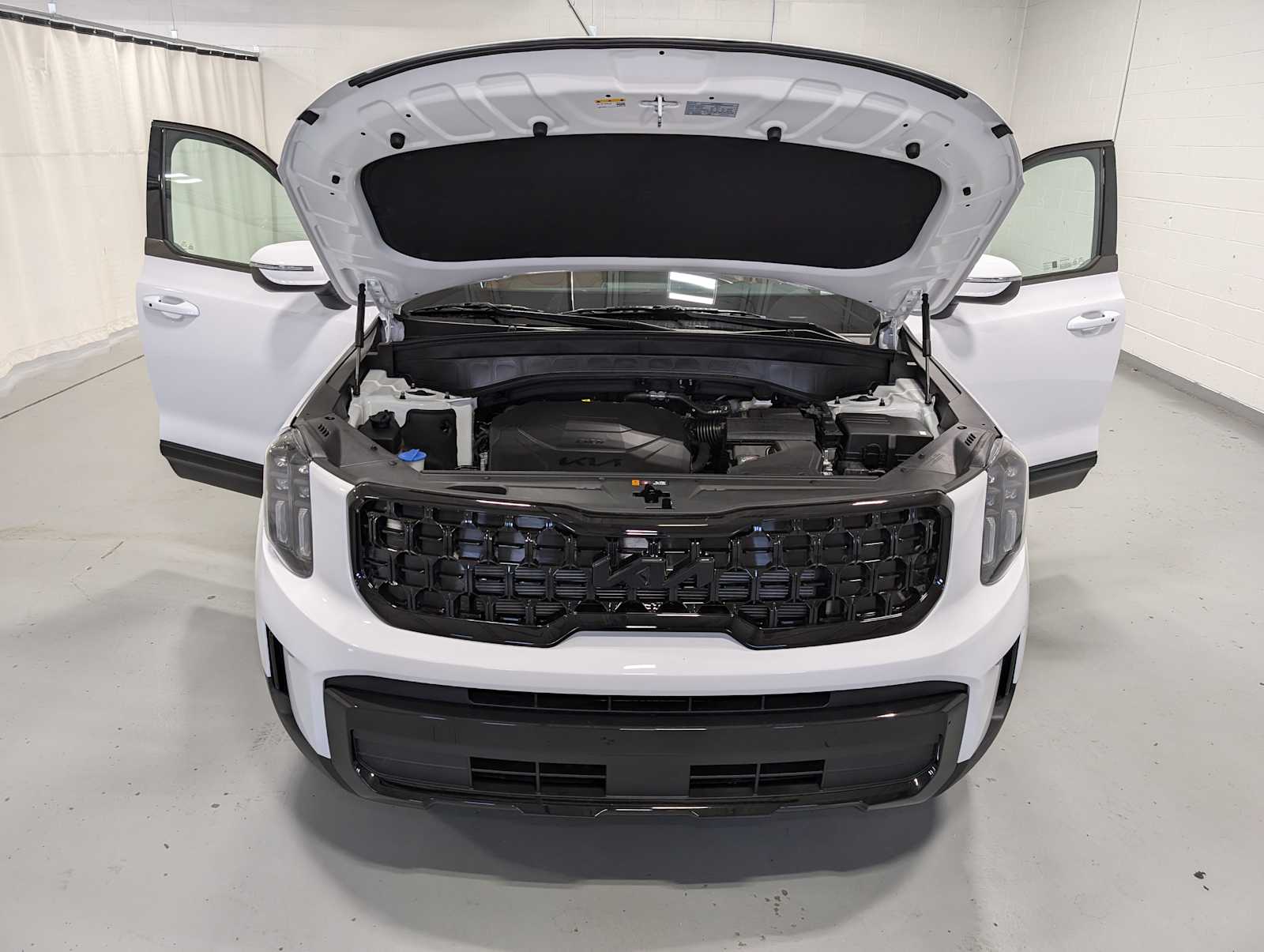 2025 Kia Telluride EX X-Line photo 12