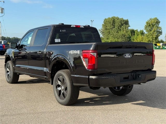 2025 Ford F-150 STX photo 3