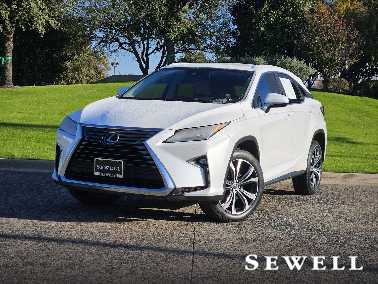 2019 Lexus RX 350's photo