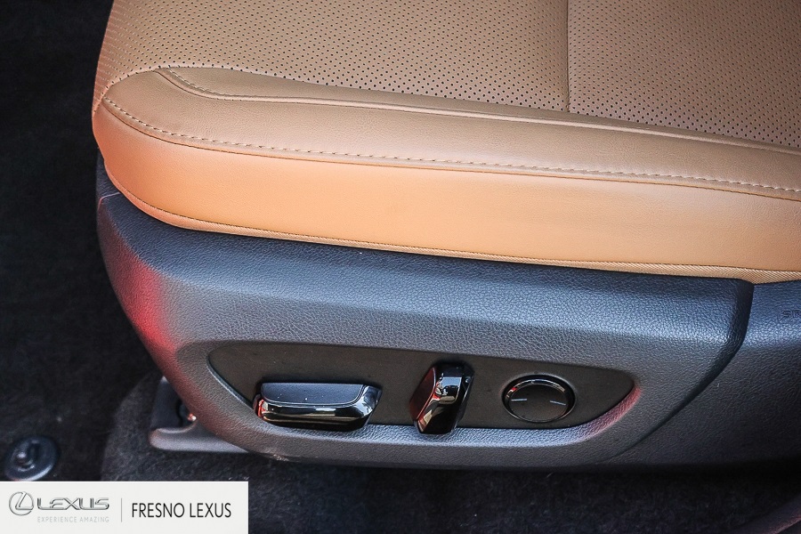 2025 Lexus NX 350h Premium photo 20