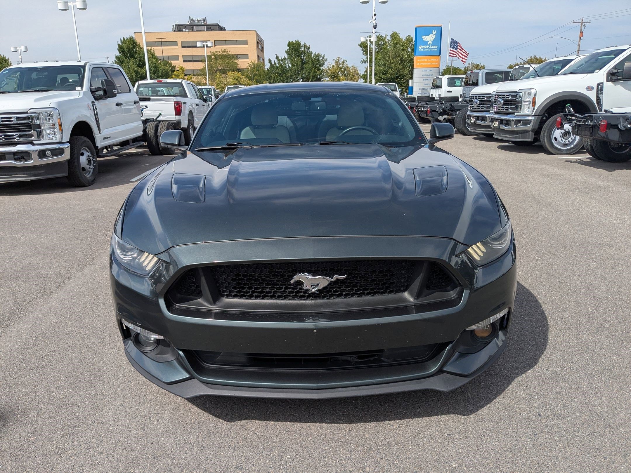 2015 Ford Mustang GT Premium photo 8