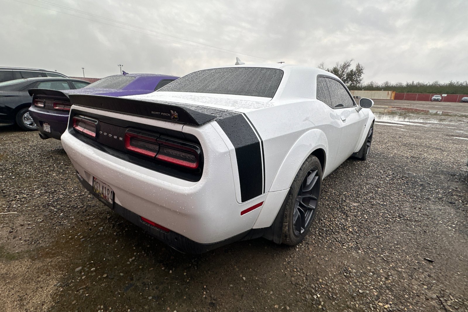 2019 Dodge Challenger R/T Scat Pack Widebody photo 2