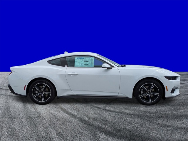 2025 Ford Mustang EcoBoost photo 3