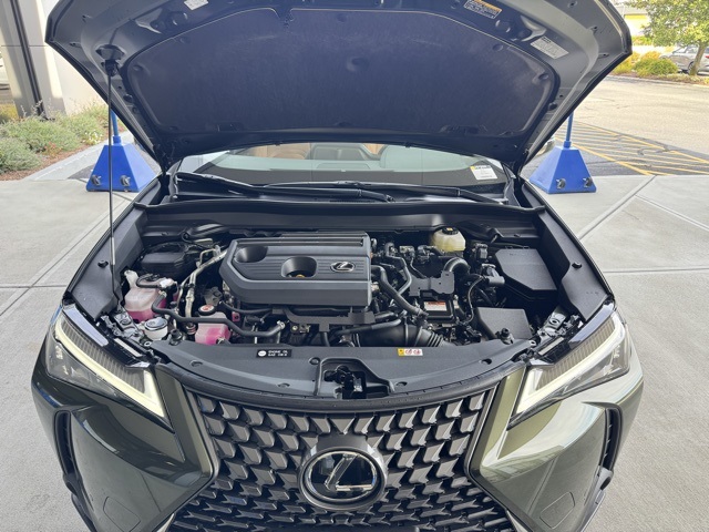 2025 Lexus UX Premium photo 7