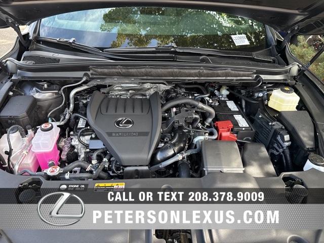 2025 Lexus RX 350 Premium photo 9