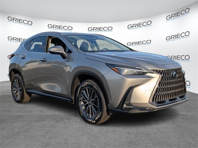 2022 Lexus NX 250's photo