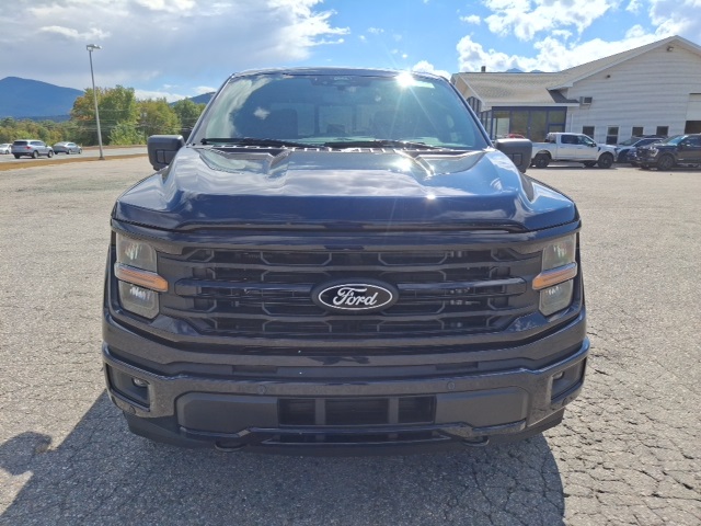 2025 Ford F-150 XLT photo 8