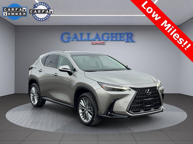 2023 Lexus NX 350's photo