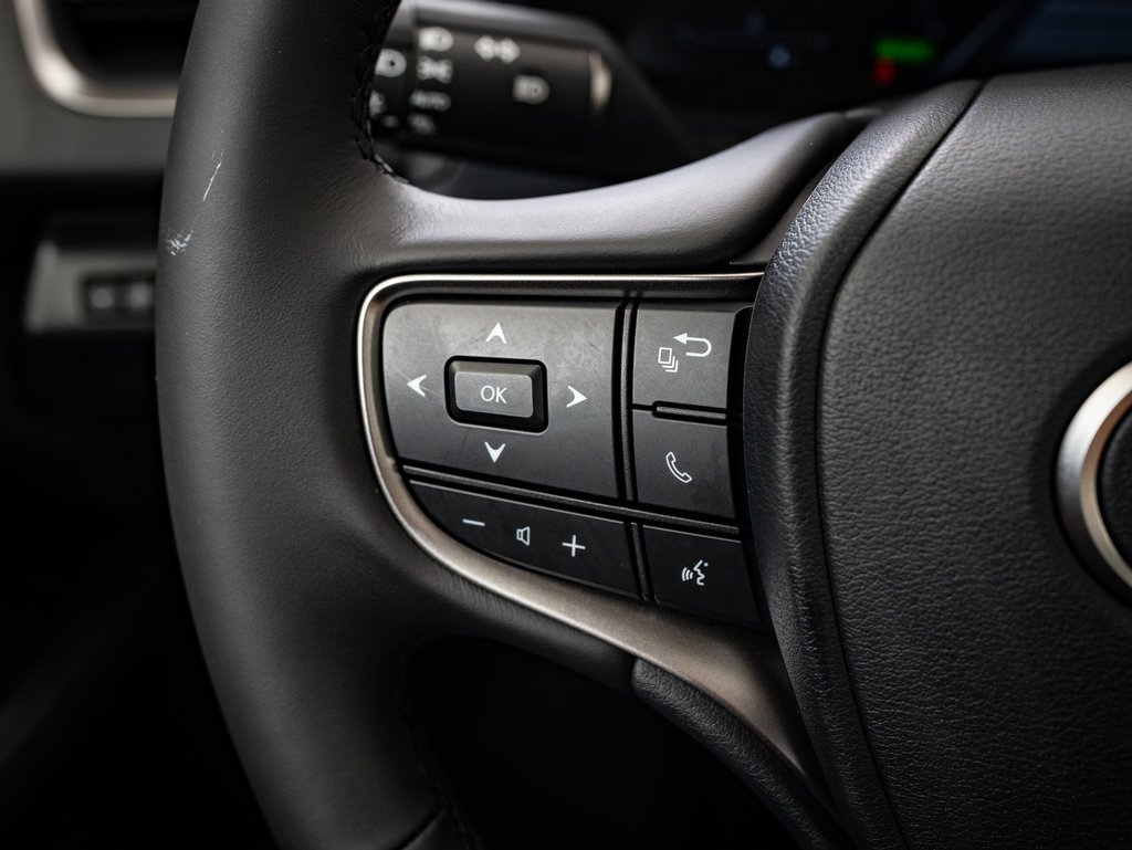 2025 Lexus UX Premium photo 24