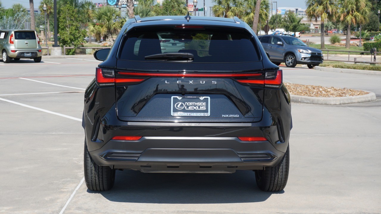2024 Lexus NX 250 Premium photo 5