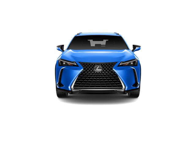 2025 Lexus UX photo 5