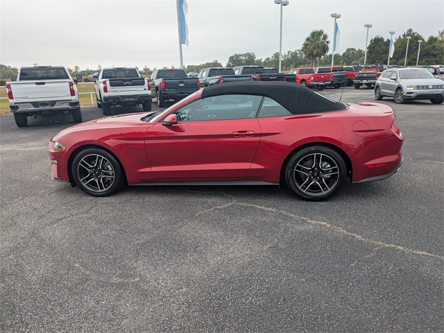 2023 Ford Mustang EcoBoost Premium Convertible photo 6