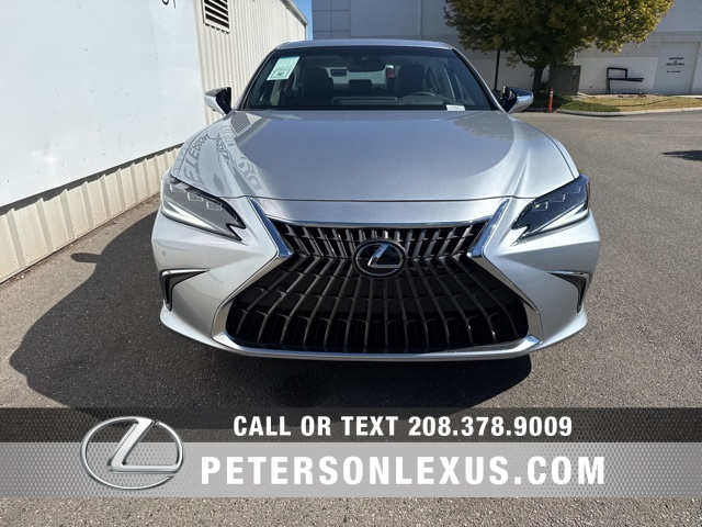 2025 Lexus ES 300h Luxury photo 8