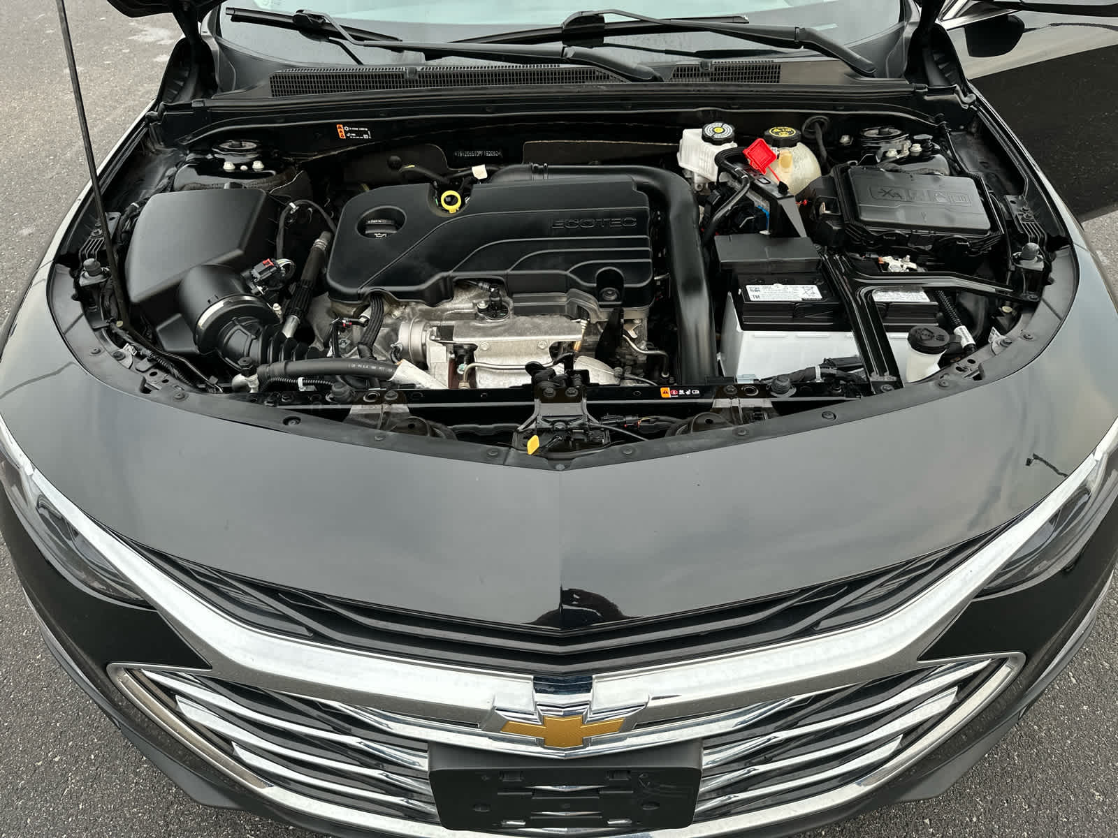 2023 Chevrolet Malibu 1LT photo 21