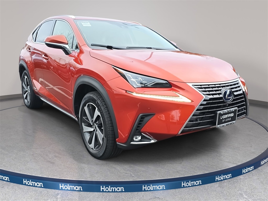 2020 Lexus NX 300h Luxury photo 3