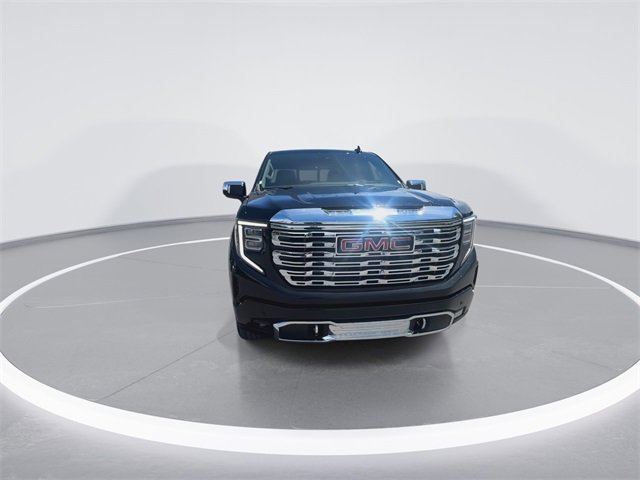 2025 Gmc Sierra 1500 Denali photo 3