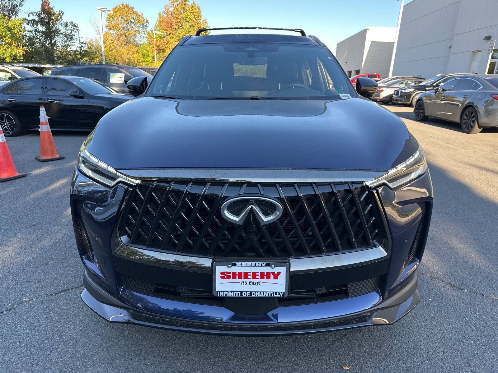 2026 Infiniti QX60 Base photo 2