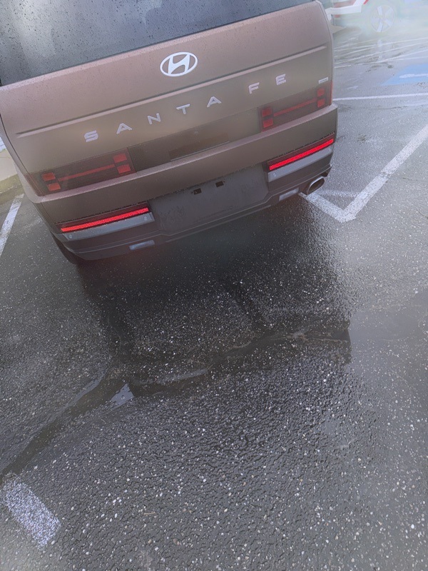 2024 Hyundai Santa Fe Limited photo 2