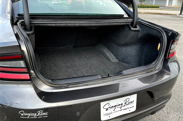 2021 Dodge Charger SXT photo 30