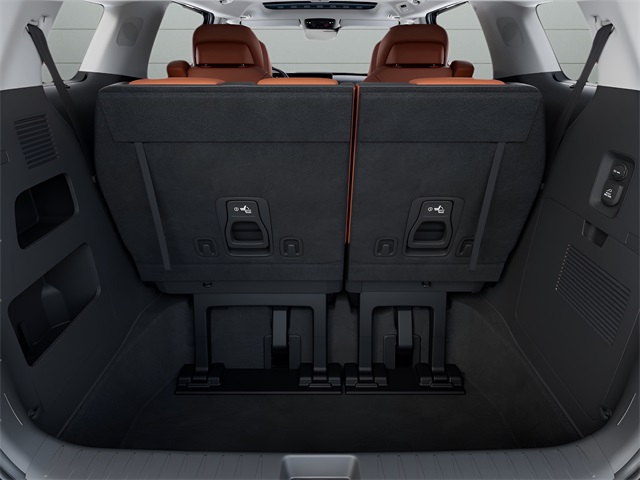 2026 Kia Carnival SX Prestige photo 17