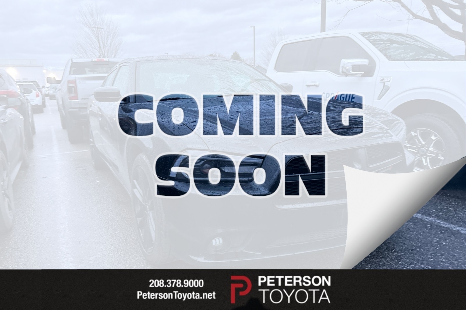 2014 Dodge Charger SXT Plus