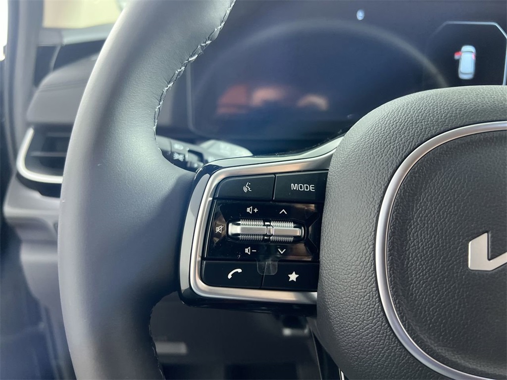 2026 Kia Carnival SX Prestige photo 17