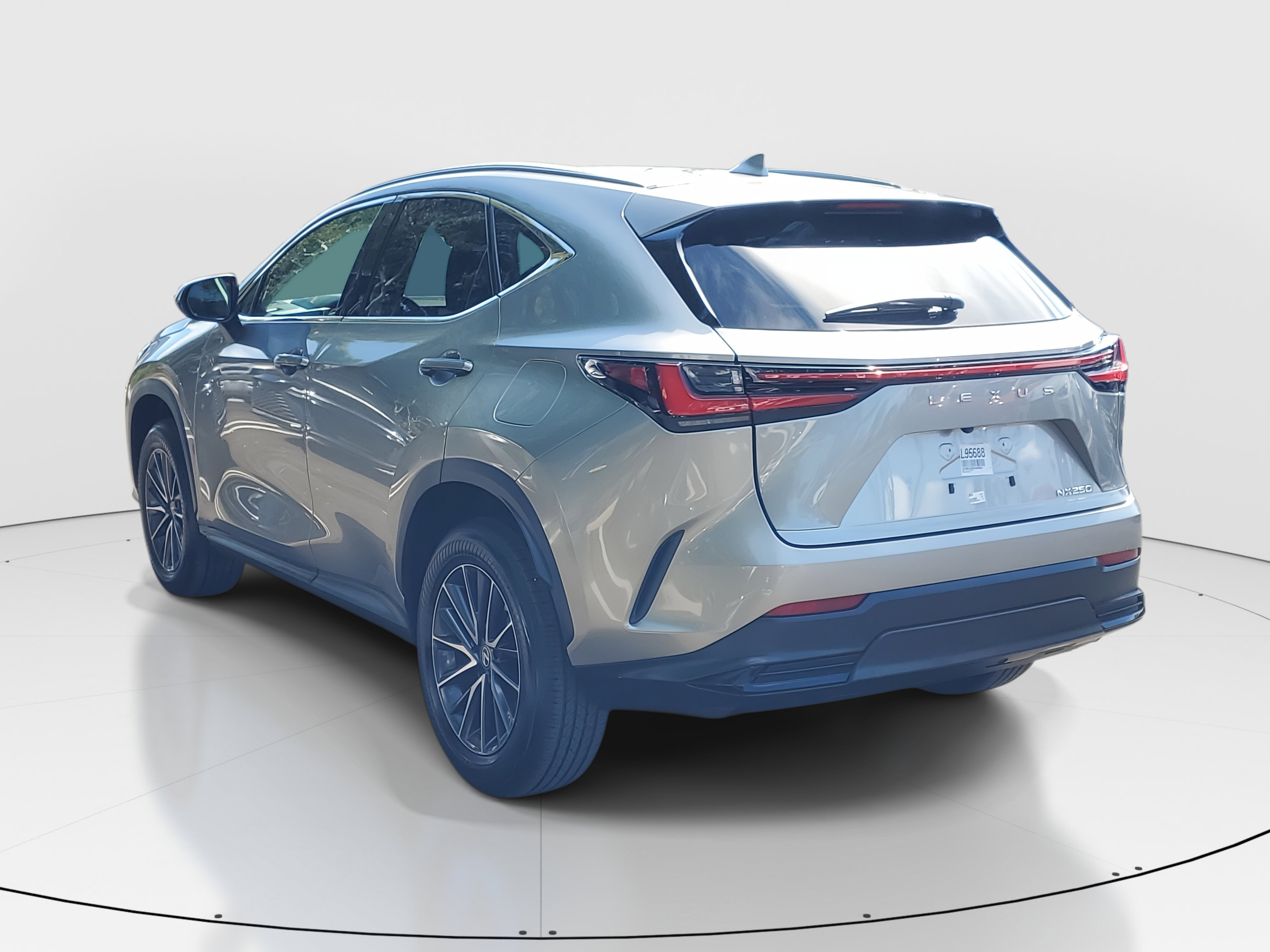 2024 Lexus NX 250 photo 5