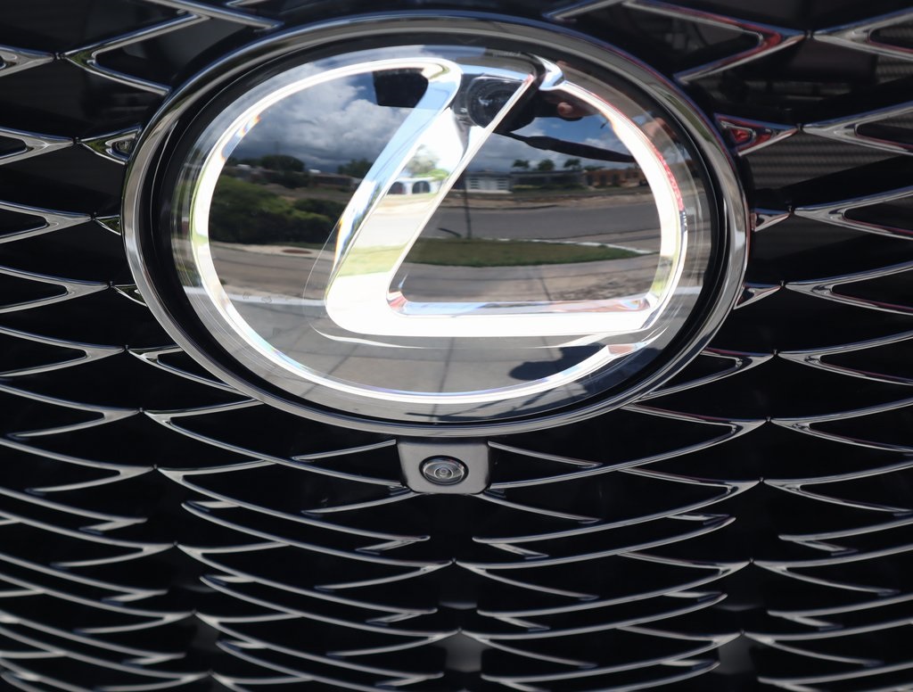 2025 Lexus NX 350 F SPORT Handling AWD photo 10