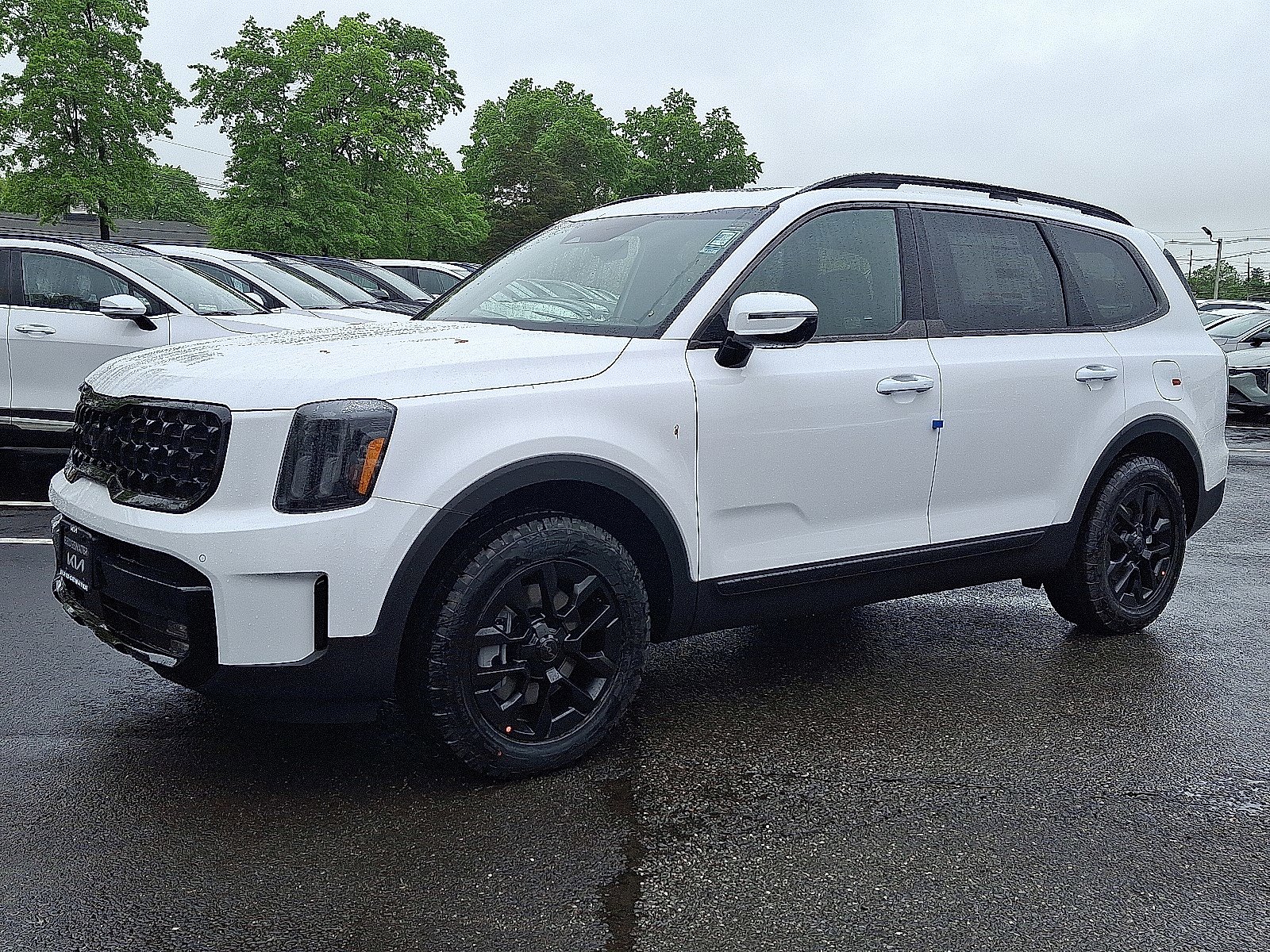 2025 Kia Telluride SX Prestige X-Pro photo 3
