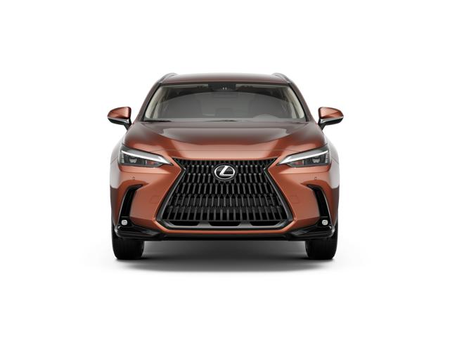 2026 Lexus NX 350h photo 4