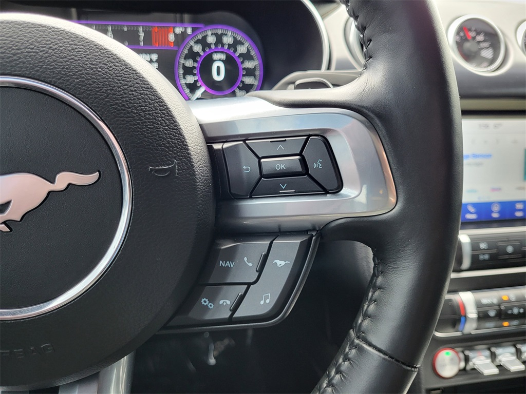 2021 Ford Mustang Mach 1 photo 20