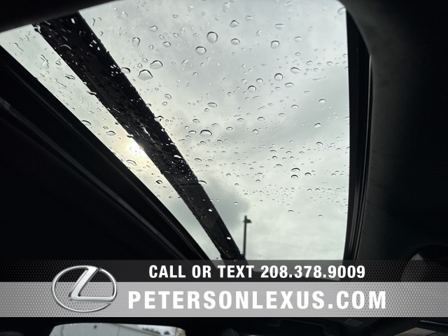 2024 Lexus RX 350h Premium photo 13
